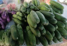 Harga Timun di Pasar Induk Malinau Kembali Normal