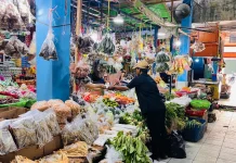 Harga Delapan Komoditas di Malinau Kompak Turun