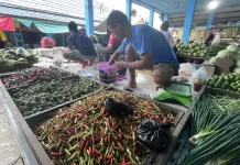 Harga Cabai Rawit Merah di Malinau Turun, Pasokan Mulai Normal