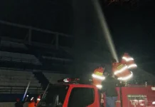 Belasan Titik Sarang Tawon di Stadion Utama Malinau Dibasmi lewat OTT Damkar