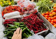 Harga Cabai di Malinau Turun, Pembeli Lega
