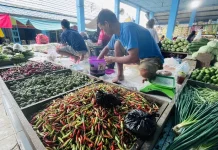 Harga Cabai Rawit di Malinau Rp50.000 Per Kilogram