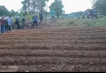 Selain Tingkatkan PAD, Ini Tujuan Penggarapan Lahan Pemerintah di Malinau