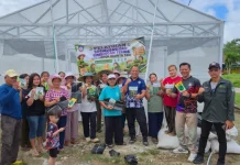 Intervensi Stunting, Belasan Kelompok Wanita Tani Malinau Dapat Bantuan Bibit
