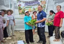 Distapang Dorong Kemandirian Ekonomi Keluarga Melalui Kelompok Wanita Tani