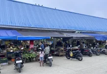 Tekanan Harga Mereda, Empat Komoditas di Malinau Turun