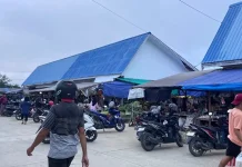Tiga Komoditas Pangan di Malinau Turun, Cabai Keriting Paling Signifikan