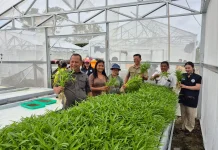 Pemanfaatan Bantuan Pertanian Tunjukkan Hasil Positif