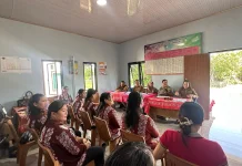 Tim Pembina Posyandu Kabupaten Malinau Lakukan Pendampingan Posyandu Desa Salap