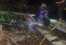 Seorang Pekerja Tewas Tertimpa Pohon saat Buka Lahan di Malinau Barat