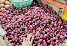 Pasokan Seret, Harga Bawang Merah di Malinau Naik