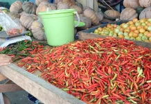 Harga Cabai Masih Bertahan di Rp85 Ribu per Kilogram