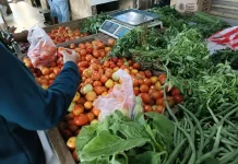 Harga Tomat Turun ke Rp25 Ribu per Kilogram, namun Masih Dinilai Mahal