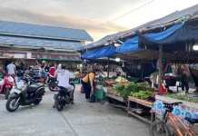 Lima Komoditas Pangan Turun di Malinau, Satu Naik