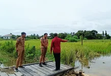Kades Ega Tinjau Lokasi Balai Adat Baya Intamu