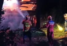 Bangunan Sarang Burung Walet di Malinau Terbakar, Tersambar Petir