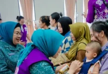 Bangun Keluarga Berkualitas lewat Peran Posyandu dan Dasawisma