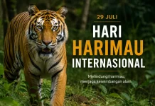 Hari Harimau Internasional 2026: Mengingat Pentingnya Menjaga Sang Raja Hutan