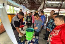 Gelar Lomba TTG 2026, Inovasi Desa Didorong Jadi Penggerak Ekonomi Lokal