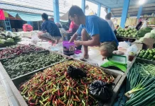 Harga Cabai di Malinau Fluktuatif, Komoditas Lain Stabil