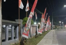 Sambut HUT RI ke-81, PLN ULP Malinau Ingatkan Jaga Jarak Aman dari Jaringan Listrik
