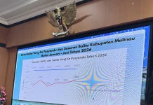 Setengah Sasaran Balita di Malinau Absen Penimbangan Posyandu