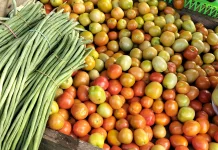 Tomat Melimpah, Harga di Pasar Induk Malinau Turun hingga Rp10 Ribu
