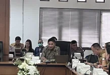 Akademisi Ungkap 1.323 Pelaku Ekonomi Kreatif Malinau Belum Tergarap Optimal