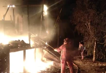 Karhutla Meluas di Indonesia, Damkar Malinau Larang Bakar Lahan