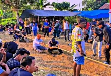 Tarik Tambang Tutup Keramaian HUT RI RT-3 dan RT-4 Desa Malinau Hulu