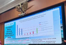 Keterbatasan Ekonomi Jadi Tantangan Pemenuhan Gizi Balita di Pujungan