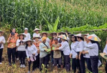 DWP Malinau Gelar Panen Sayur Bersama dan Bagikan Bibit kepada Petani