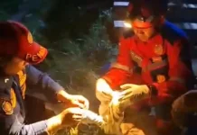 Sarang Tawon Vespa Ancam Aktivitas Warga, Damkar Malinau Lakukan Evakuasi