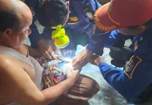 Monyet Peliharaan Warga Dievakuasi Petugas Damkar