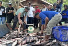 Dorong Pembudidaya Ikan Mandiri, Targetkan Pergeseran Pola Bantuan