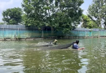 Dinas Perikanan Ungkap Tantangan Budidaya Perikanan di Malinau