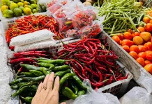 Meroket, Cabai Merah Keriting di Malinau Tembus Rp135.000 per Gram