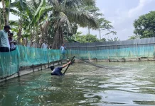 Dua Kecamatan Topang Kebutuhan Perikanan Darat Malinau