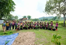 Gerakan Tanam Padi Bersama Wujud Dukungan Program PESAT Malinau