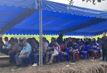 Dinas Perikanan Malinau Fokus Naikkan Kelas 25 Kelompok Pembudidaya Ikan Pemula