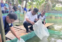Menuju Swasembada Pangan, Malinau Pacu Sektor Perikanan Darat