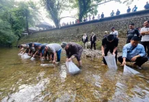 Lepas 7.000 Bibit Ikan di Semolon, Bupati: Jaga Ekosistem agar Jadi Daya Tarik Wisata