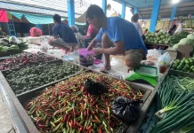 Harga Cabai di Pasar Induk Malinau Turun, Konsumen : Masih Mahal