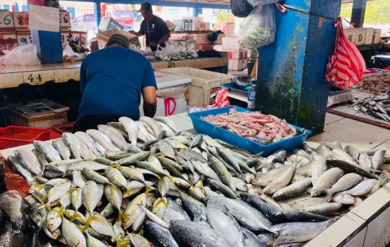 Harga Ikan di Malinau Naik, Cabai Turun