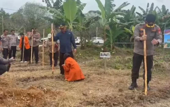 Tanam Raya Jagung, Polres Malinau Setorkan 2,2 Ton Hasil Panen