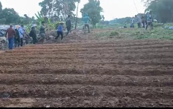Selain Tingkatkan PAD, Ini Tujuan Penggarapan Lahan Pemerintah di Malinau
