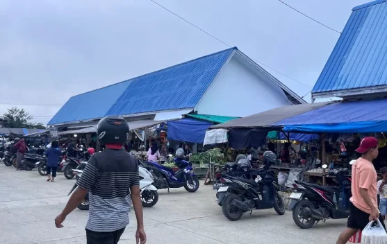 Tiga Komoditas Pangan di Malinau Turun, Cabai Keriting Paling Signifikan