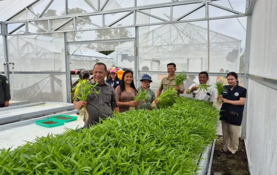 Pemanfaatan Bantuan Pertanian Tunjukkan Hasil Positif