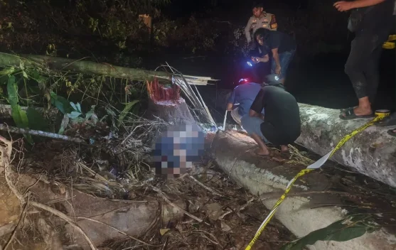 Seorang Pekerja Tewas Tertimpa Pohon saat Buka Lahan di Malinau Barat