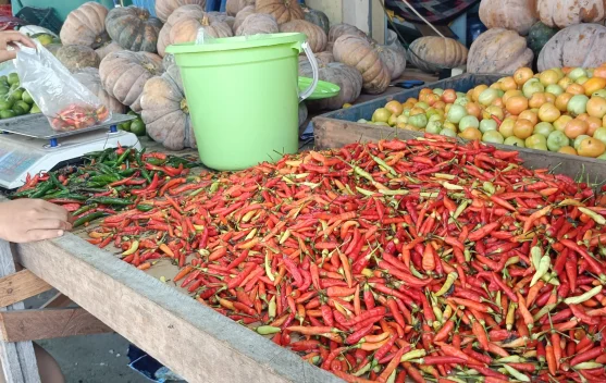 Harga Cabai Masih Bertahan di Rp85 Ribu per Kilogram